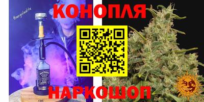 шишки Туймазы