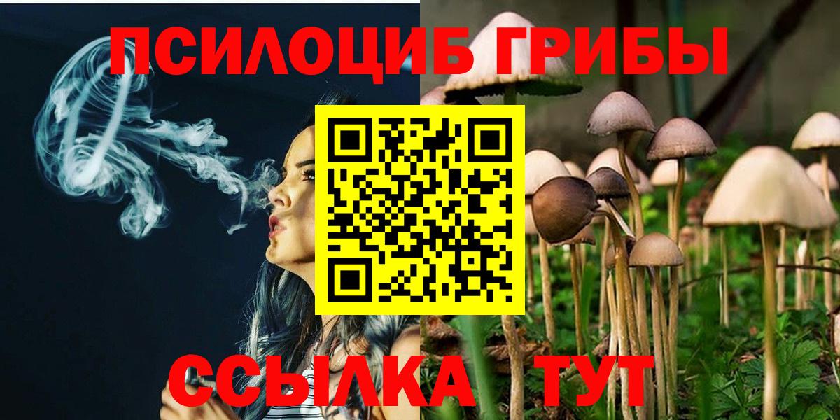 Галлюциногенные грибы прущие грибы Нерюнгри